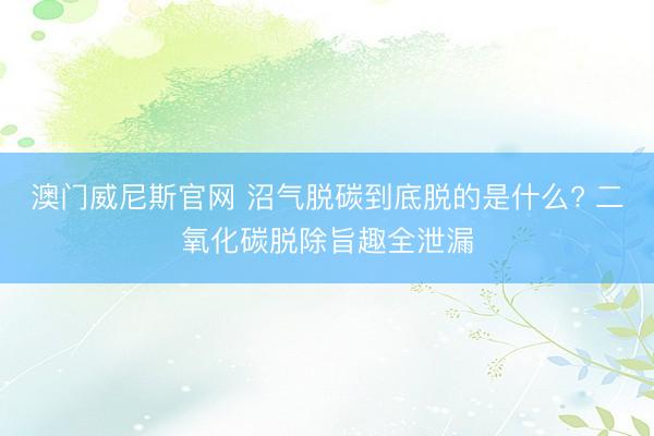 澳门威尼斯官网 沼气脱碳到底脱的是什么? 二氧化碳脱除旨趣全泄漏
