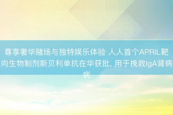 尊享奢华赌场与独特娱乐体验 人人首个APRIL靶向生物制剂斯贝利单抗在华获批, 用于挽救IgA肾病