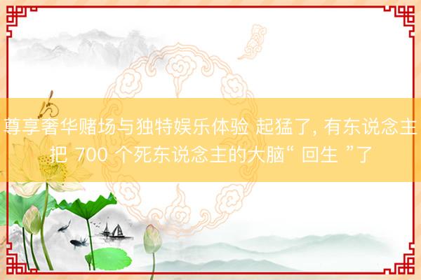 尊享奢华赌场与独特娱乐体验 起猛了, 有东说念主把 700 个死东说念主的大脑“ 回生 ”了