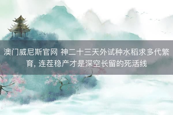 澳门威尼斯官网 神二十三天外试种水稻求多代繁育， 连茬稳产才是深空长留的死活线