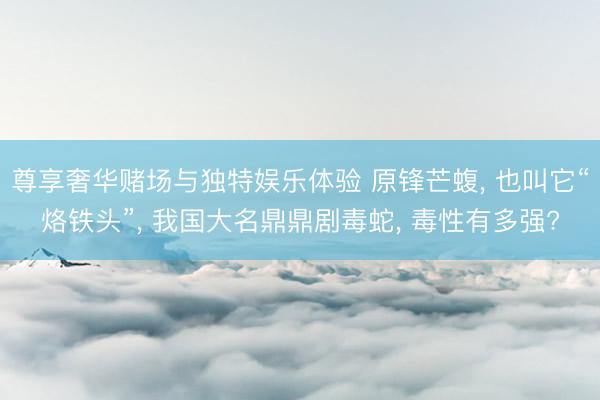 尊享奢华赌场与独特娱乐体验 原锋芒蝮, 也叫它“烙铁头”, 我国大名鼎鼎剧毒蛇, 毒性有多强?