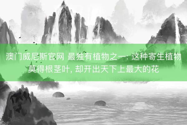 澳门威尼斯官网 最独有植物之一: 这种寄生植物莫得根茎叶， 却开出天下上最大的花