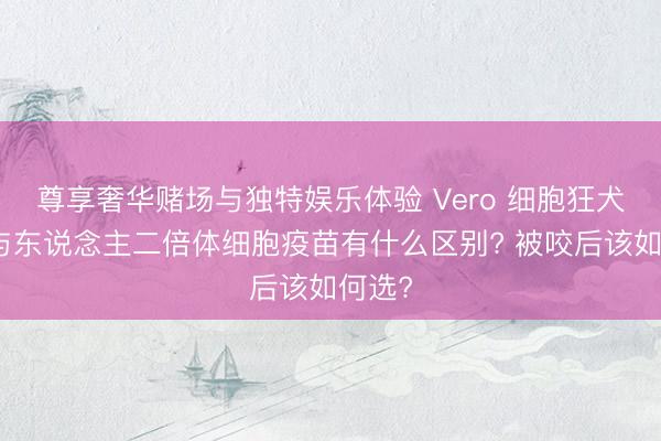 尊享奢华赌场与独特娱乐体验 Vero 细胞狂犬疫苗与东说念主二倍体细胞疫苗有什么区别? 被咬后该如何选?