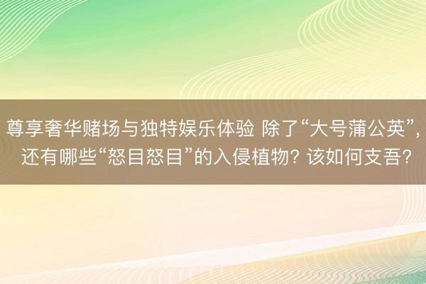 尊享奢华赌场与独特娱乐体验 除了“大号蒲公英”, 还有哪些“怒目怒目”的入侵植物? 该如何支吾?