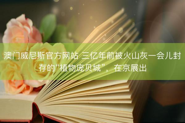 澳门威尼斯官方网站 三亿年前被火山灰一会儿封存的“植物庞贝城”,在京展出
