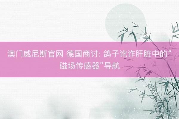 澳门威尼斯官网 德国商讨: 鸽子讹诈肝脏中的“磁场传感器”导航