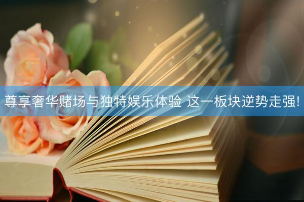 尊享奢华赌场与独特娱乐体验 这一板块逆势走强!