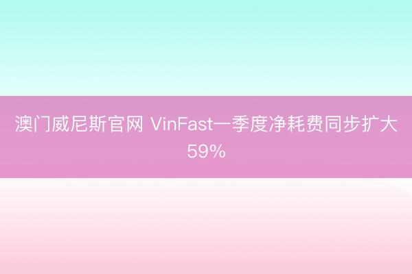 澳门威尼斯官网 VinFast一季度净耗费同步扩大59%