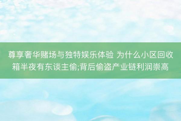 尊享奢华赌场与独特娱乐体验 为什么小区回收箱半夜有东谈主偷;背后偷盗产业链利润崇高